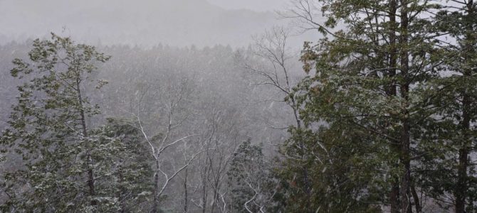 チュパが止められない チュパが止められない