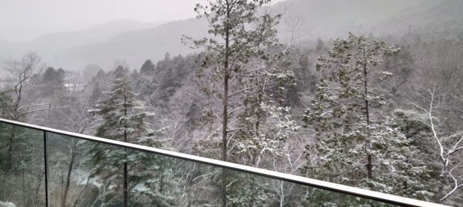 初雪です 初雪です