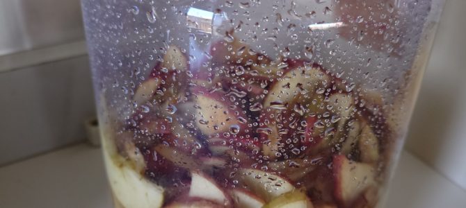 発酵ドリンク 発酵ドリンク