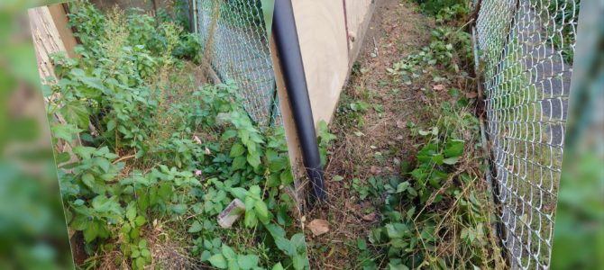 1人草刈 1人草刈