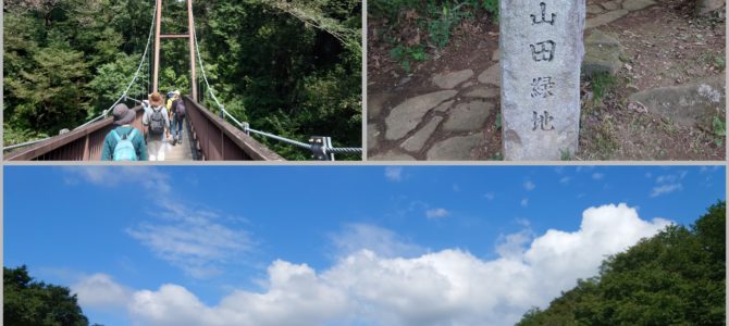 リタイヤも出て