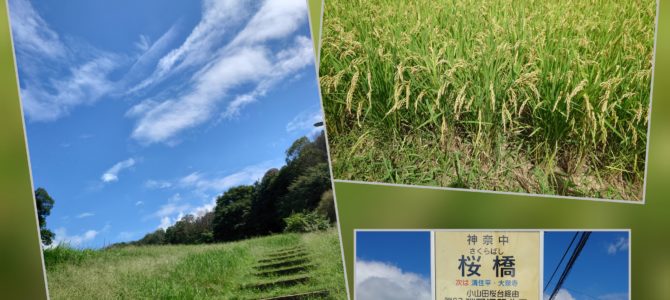 アウトリーチ第2弾