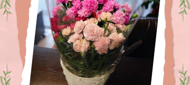 今年もカーネーションで 今年もカーネーションで