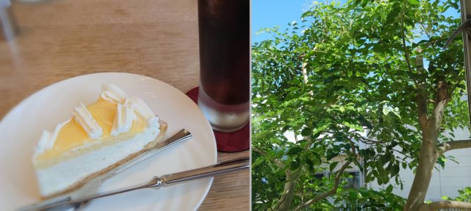 レモンパイ レモンパイ