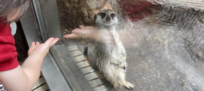 我が家は奥さんの日？