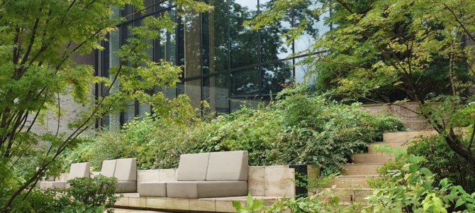 のんびり昼食 のんびり昼食