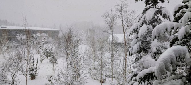 大雪じゃない…