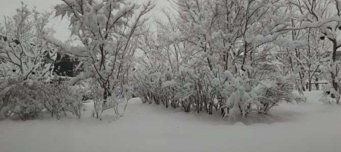念の為更に延泊