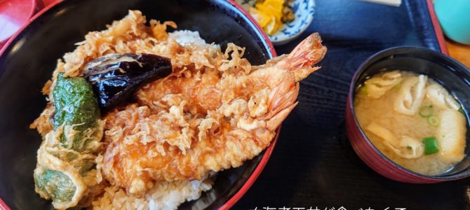 連日ディーラーに 連日ディーラーに