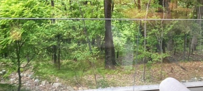 家族旅行は大変