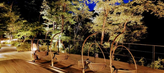 初日は何時もの 初日は何時もの