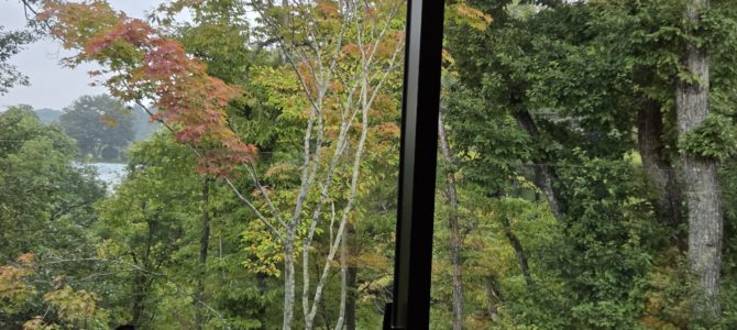 紅葉も始まり 紅葉も始まり