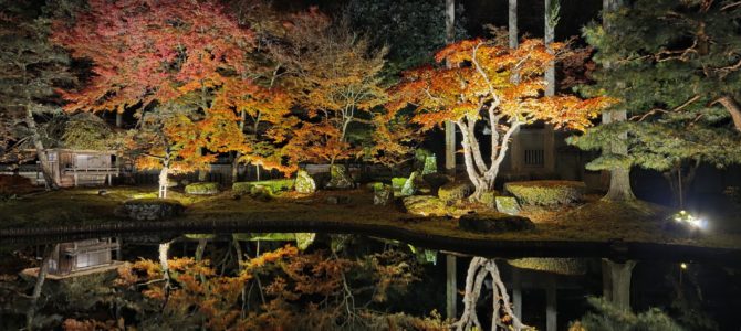 初めての紅葉ライトアップ 初めての紅葉ライトアップ