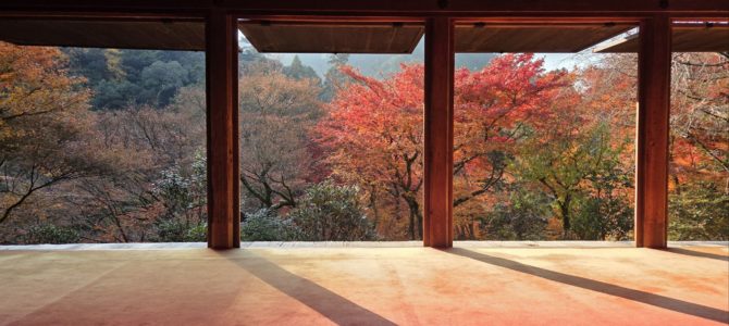 朝の高山寺 朝の高山寺