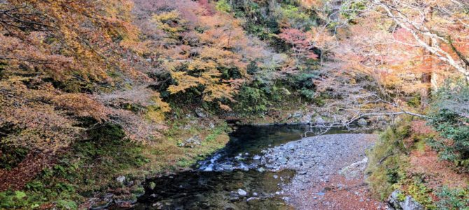 西明寺は次回に 西明寺は次回に