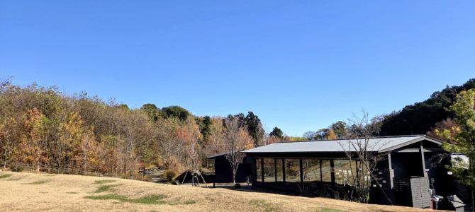 薬師池公園ウォーキング 薬師池公園ウォーキング