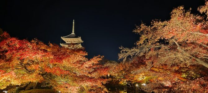 東寺のライトアップ 東寺のライトアップ
