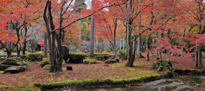 最終日・お昼 最終日・お昼