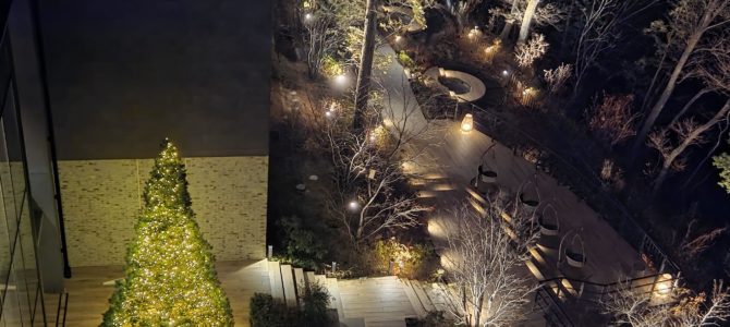 お誕生日ディナー