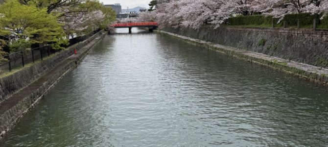 琵琶湖疎水辺り 琵琶湖疎水辺り