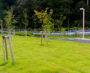 お医者さんと面談