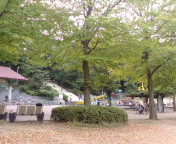 最後のプール？