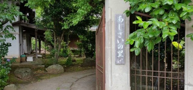 あじさいの里に行ってきました