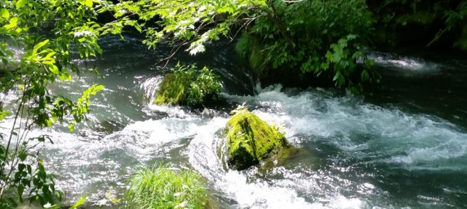 午後から奥入瀬へ